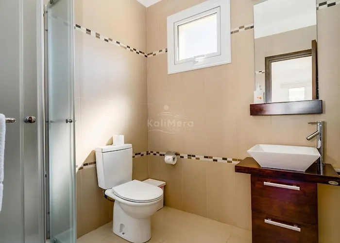 Emily * 프로타라스